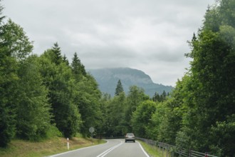 Car traveling on a road surrounded by dense green forests with a view of the foggy mountains in the