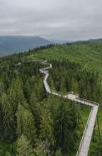 An aerial view of an elevated wooden walkway meanders through lush green forests of Bachledka in