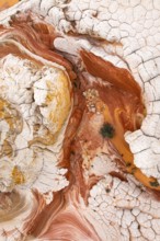 This striking aerial image captures the complex patterns of red and white rock formations. The