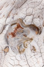 Close-up image showcasing the stunning, abstract patterns of eroded red and white rocks,