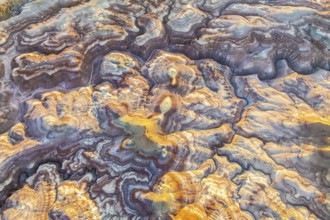 Aerial view of bentonite formations in Utah, USA, showcasing golden and earthy tones. The intricate