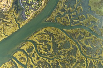 Aerial photograph capturing the intricate waterways and verdant foliage of the Guadalquivir