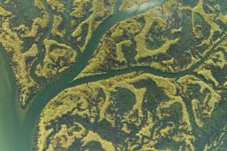 An aerial shot capturing the intricate patterns and vivid colors of the Guadalquivir Marshes,