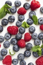 Top view of fresh blueberries and raspberries neatly arranged with sprigs of mint. Ideal image for