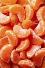 A vivid close-up view of fresh, juicy tangerine slices showcasing their natural, bright orange hue.