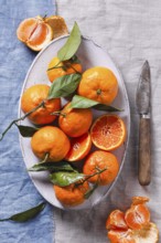 A bowl of vibrant tangerines with green leaves on a rustic table, accompanied by a vintage knife