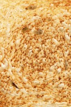 Detailed close-up of a toasted bread slice, showcasing a golden crispy crust with air pockets and