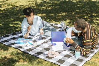 Two friends enjoy a study session outdoors on a sunny day, sitting on a checkered blanket with