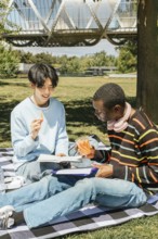 Two friends enjoy a sunny day in the park, sharing snacks and studying on a picnic blanket. With