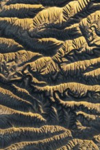 Capturing the intricate golden textures of Caineville Mesa, Utah, this aerial view reveals the