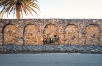 A bicycle leaning against an ancient stone wall under a palm tree, capturing the peaceful ambiance