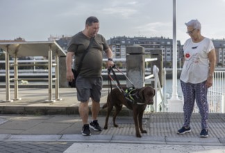 A blind man and senior woman with a guide dog crosses the street. The dog wears a harness,