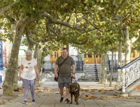 A blind man with a guide dog and a senior woman stroll under vibrant trees in an urban park. The