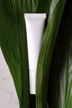 A clean and simple white cosmetic tube positioned elegantly among fresh, green tropical leaves,
