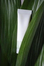 A blank white cosmetic tube elegantly placed among vivid green leaves, symbolizing natural and