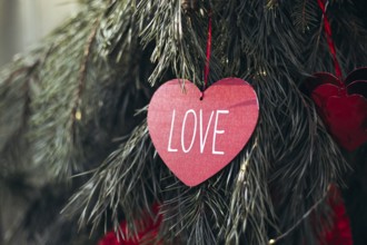 Red heart-shaped paper with LOVE written, hanging on an evergreen tree branch. Perfect for