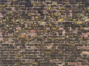 Detailed view of a vintage brick wall in London, showcasing a mix of weathered red and yellow
