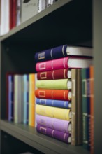 Vibrant and neatly arranged books occupy shelves in a contemporary library setting, showcasing an