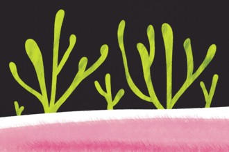 An eye-catching abstract illustration featuring vivid green plant like shapes on a stark black