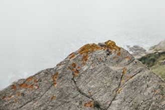 A close-up of a rocky cliffside covered in patches of orange moss in Finisterre. The cliff