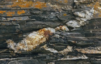 A detailed close-up of a rock surface showcasing colorful mineral deposits and intricate cracks.