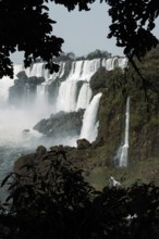 Captivating photo of Iguazu Falls framed by dark foliage, showcasing multiple cascades amid verdant
