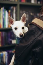 A small white dog with attentive ears cuddles in its young woman arms, set against a backdrop of