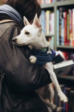 A small dog in a blue sweater is lovingly held by a young woman in a leather jacket, creating a