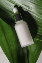 A sleek white cosmetic bottle with a green dropper nestled among fresh green leaves, symbolizing
