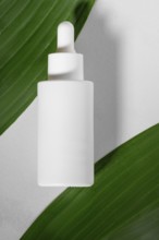 Minimalist presentation of a white dropper bottle lying on vibrant green leaves, highlighting its
