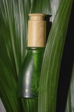 A single eco-friendly cosmetic bottle with a wooden cap, displayed against a vibrant background of