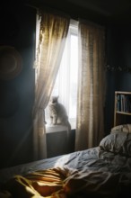 A serene bedroom scene with warm sunlight streaming through curtains, illuminating a cat sitting on