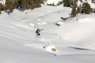 Experience the thrill of snowboarding as an enthusiast gracefully carves through untouched, powdery