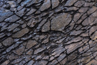 Close-up of a rugged volcanic rock surface, showcasing intricate textures and deep cracks. Captured