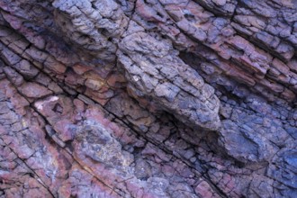 Close-up image displaying the intricate textures and varying colors of volcanic rocks at Mujeres