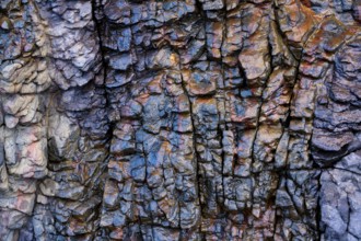 Intricate textures and vibrant mineral hues of the volcanic rock formations in Mujeres Beach,