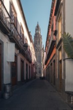 A serene cobblestone street leading to the iconic San Juan Bautista Church in Arucas, Gran Canaria,