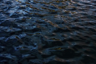 Dark and moody water textures captured at Playa Blanca Port in Lanzarote. Intricate light