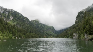 Serene view of Lac de Taney in Switzerland, enveloped by dense forests and high rocky mountains