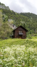 Quaint wooden cabin nestled in a vibrant meadow near Lac de Taney, Switzerland, surrounded by lush