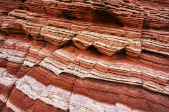 Close-up of vibrant and intricate red rock layers with distinctive white lines, showcasing natural