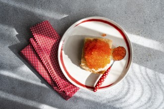 Top view of a plate with organic red trout caviar spread on a toasted slice of bread, accompanied