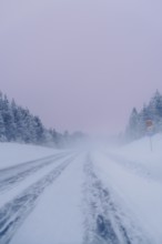 An icy road stretches through Swedish Lapland, flanked by frost-covered trees under a pale sky. The