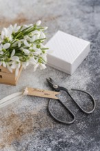 Fresh bouquet of spring snowdrops placed beside a textured white gift box and dark vintage scissors