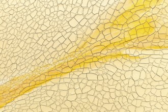 This image showcases a detailed view of cracked soil with a striking golden mud streak,