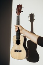 A person holds a ukulele against a plain wall, with sunlight casting a clear shadow The warm tones
