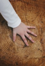A young girl wearing a First Communion Day dress places her hand on a large tree stump,