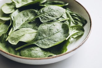 A close-up of fresh green spinach leaves in a bowl, showcasing their vibrant color and freshness