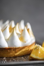 Close up of a a homemade lemon cake showcasing the golden brown peaks of toasted meringue. The