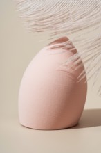A soft, pink cosmetic sponge displayed with feather details on a beige background Ideal for beauty